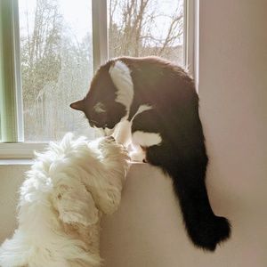 Meet your Posher, Sherry